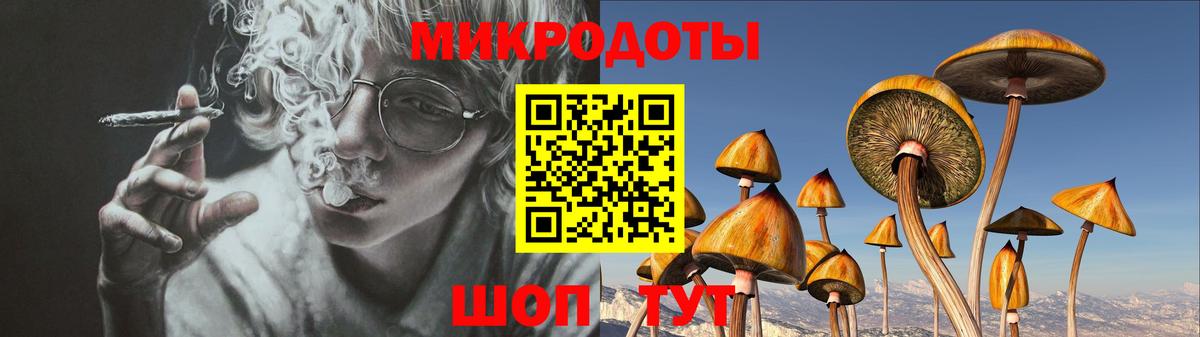 Псилоцибиновые грибы Psilocybe Дзержинский